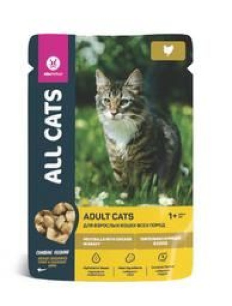 All Cats пауч с тефтельками из курицы в соусе для кошек